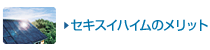 �Z�L�X�C�n�C���̃����b�g