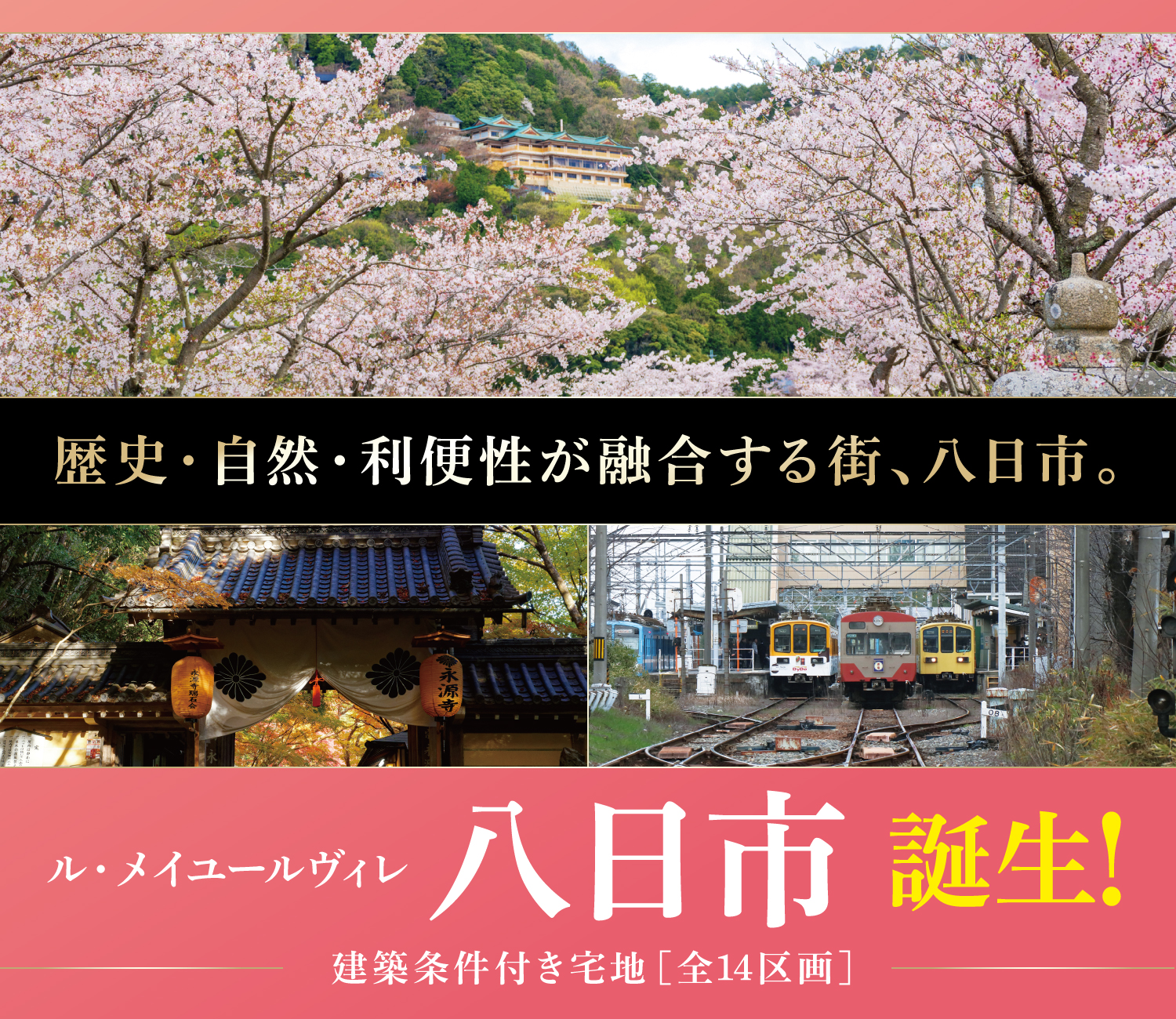 八日市誕生！