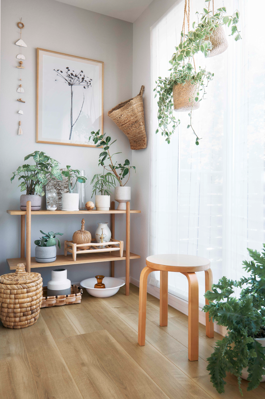 自然光が差し込む室内に観葉植物と木製家具が並ぶ空間の写真