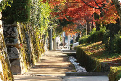 石積みの門前道