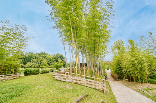 高山竹林園