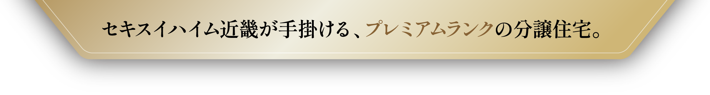 セキスイハイム近畿が手掛ける、プレミアムランクの分譲住宅。