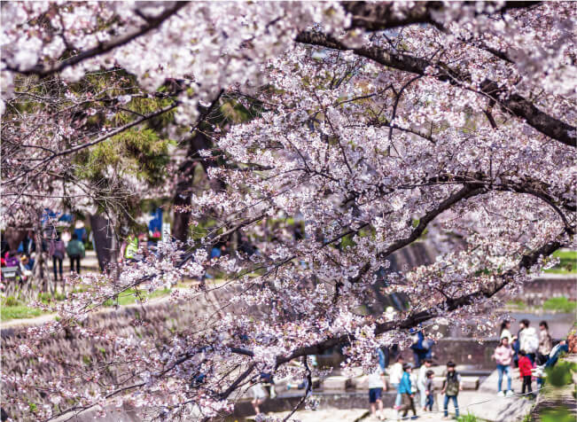 夙川公園