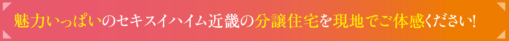 魅力いっぱいのセキスイハイム近畿の分譲住宅を現地でご体感ください！