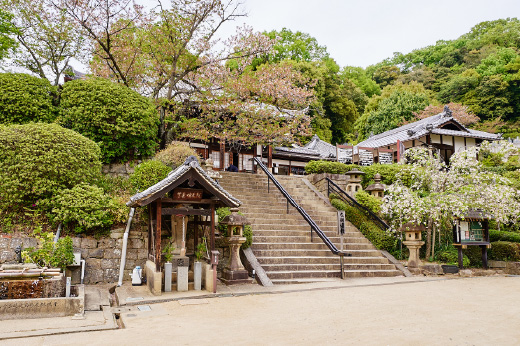 慈眼寺（野崎観音）の写真