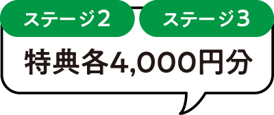 ステージ2 ステージ3 特典各4,000円分