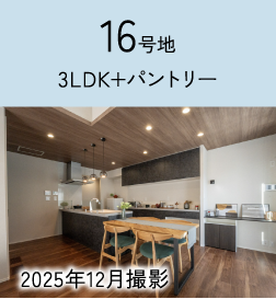 16号地イメージ写真