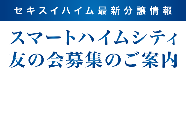ZLXCnCŐV X}[gnCVeBF̉ŴȂ