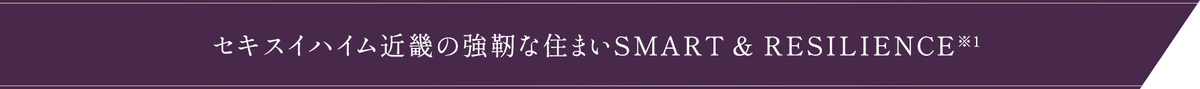 セキスイハイム近畿の強靭な住まい SMART & RESILIENCE※1