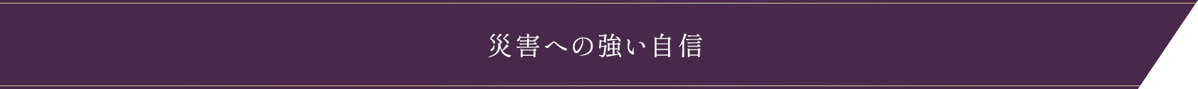 災害への強い自信